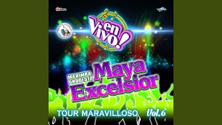 Mix Pasito Perron Pasito Perron  La Chona  Y Como Se Mata el Gusano  En Vivo [upl. by Nnyleuqaj]