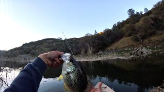 Lake Berryessa Spring Crappie 2020  BIG SHTICKS [upl. by Lavern]