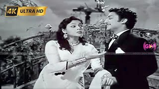 திரை போட்டு நாமே பாடல்  Thirai Pottu Naame song  A M Rajah amp Jikki  Raja Rani 1956 film [upl. by Eerual]