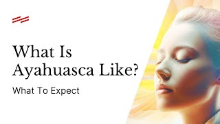 What to Expect in an Ayahuasca Experience [upl. by Assetal]