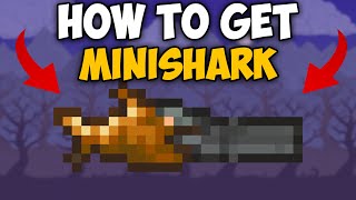 How To Get Minishark in Terraria 1449  Terraria How To Get Minishark [upl. by Hutchins]