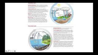 Biogeochemical Cycles [upl. by Crofoot]