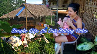 This Is What Its Like Living In A Tiny Bahay Kubo  Simple Life In The Province [upl. by Harutak60]