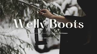 The Amazing Devil  Welly Boots Lyrics [upl. by Sheridan]