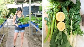 Juice Recipes  NEW VEGAN GOODIES  Planting my Garden 🌻🌿 [upl. by Jewelle]