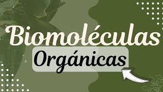 Biomoléculas Orgánicas Resumen 📚⚡ [upl. by Jenesia]