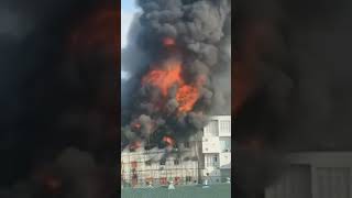 maldives male city te fire lagce maldives short maldives short video shortvideo maldives shorts [upl. by Fried]