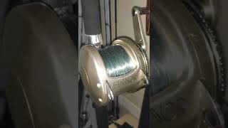 RARE FINNOR AHAB 20 TROLLING REEL shorts [upl. by Kari]