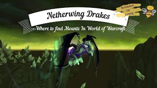 Netherwing Drake  Where to find mounts in World of Warcraft  ep 10 [upl. by Eylatan]