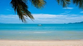 Best of Koh Samui Thailand top sights [upl. by Ashmead623]