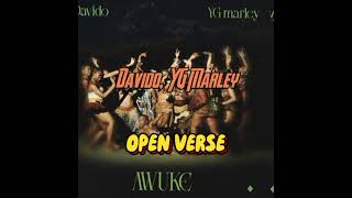 Davido YG Marley  Awuke Beat  Hook OPEN VERSE Instrumental [upl. by Harts]