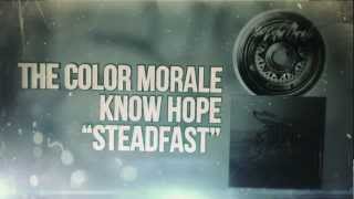 The Color Morale  Steadfast [upl. by Kelwen]