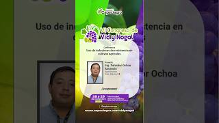 📢Uso de inductores de resistencia en cultivos agrícolas agricultura vid nogal [upl. by Ayekan]