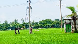 জমিতে গিয়ে হঠাৎ কি দেখলাম 😱 Sohag Agro Vlog [upl. by Gray]