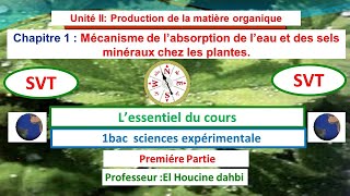 Lessentiel du cours mécanisme dabsorption de leau et les sels minéraux chez les plantes [upl. by Eimma247]