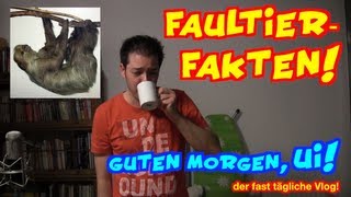 Fakten über Faultiere  vlog [upl. by Acirrej286]