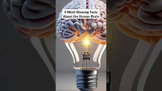 5 MindBlowing Facts About the Human Brain 🧠✨  shorts youtubeshorts [upl. by Novek22]