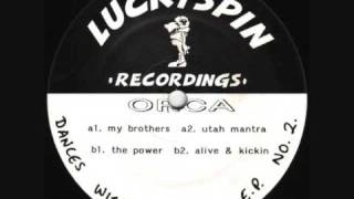 Orca  Alive amp Kickin [upl. by Ahsihat110]