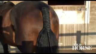 How to plait a tail  Your Horse [upl. by Stuppy]