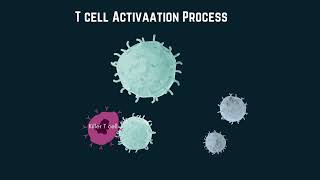 Exploring CAR T cells mechanism administration and indications [upl. by Volding]