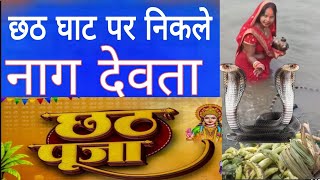 छठ घाट पर हुआ चमत्कार दिखे नाग देवता 🙏🙏 chhath ghat nagdevta wiral video trending trend [upl. by Ricard]