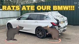 DID WE WASTE £10K BUYING A CAR AT COPART SALVAGE AUCTION PT2 [upl. by Hsreh545]