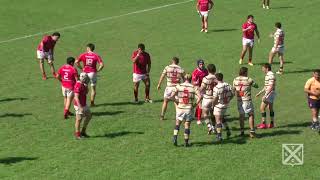 RESUMEN EXTRA A TLTC 31 LOS TARCOS 17 [upl. by Nerral]