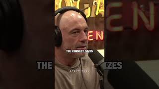 Strange Ancient Image  Joe Rogan Graham Hancock [upl. by Grizel]