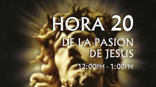 20 de 24 I Horas de la Pasión de Jesús Luisa Piccarreta Divina Voluntad [upl. by Akema]