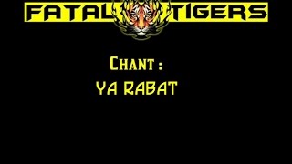 Chant Fatal Tigers  Ya Rabat [upl. by Leinod]