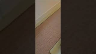 Fibre Carpets Sisal Boucle Anise installation carpetfitting londonflooring [upl. by Ramburt]