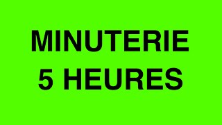 Minuteur 5 heures  minuterie de 300 minutes avec signal sonore BIP à la fin [upl. by Yelrac]