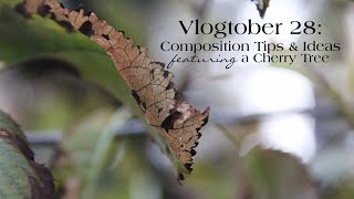 Vlogtober 28 Composition Tips amp Ideas [upl. by Akirea]