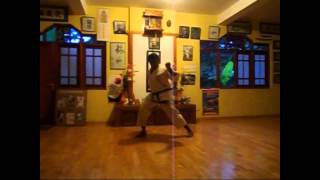 Naihanchi Sandan  Shorin Ryu KYUDOKAN Karatedo [upl. by Dambro]