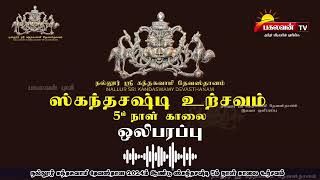 நல்லூர் ஸ்ரீ கந்தசுவாமி தேவஸ்தான 2024ம் ஆண்டு ஸ்கந்தசஷ்டி 5ம் நாள் காலை உற்சவம்  06112024 [upl. by Erdried]