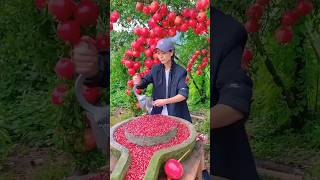 farm fresh fruits satisfyingvideo trendingnow viralvids youtubeshorts shorts [upl. by Wenz514]