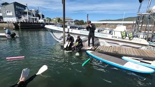 Snorkeling Safari at Thesen Island in the Knysna Estuary [upl. by Idette]