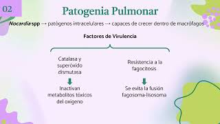 Afectación pulmonar por Nocardia a propósito de un caso [upl. by Eidahs]