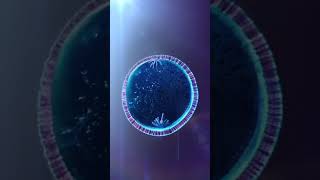 Chromosome  cells division  shorts viralvideos viralshorts shortvideos cellbiology cell [upl. by Chong320]