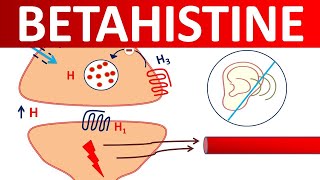 Betahistine tablets  Mechanism precautions side effects amp uses [upl. by Rea825]