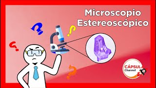 Microscopio Estereoscópico Partes y Muestras FACIL y SENCILLO 🔥🔥🔥 [upl. by Ikir478]