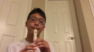 Spongebob Krusty Krab song on recorder [upl. by Gavini]