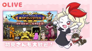 モンスターバトルロードがはっじまるよーー！！！【ドラクエ10】 [upl. by Raina984]