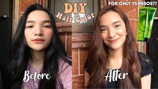 DIY HAIR COLOR AT HOME USING BREMOD NO BLEACH  DENAYS ANN [upl. by Eeleimaj]