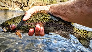 Fly Fishing a CT River  Early Hendrickson Hatch [upl. by Hibbs687]