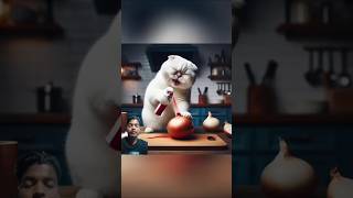 This is how revenge is taken 🍌🔁🥒 cat shots [upl. by Okim]