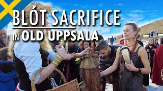 Spring Blot Sacrifice  Norse Paganism in Sweden [upl. by Leuqram]