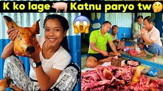 🐷SUNGUR NAI KATNU PARNE VAYO TW🤩KINA HOLA🤔bebovlog❤️🌎🥀 [upl. by Anneyehc]