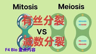 ［中文版］F4 Bio Mitosis and Meiosis [upl. by Trinette]