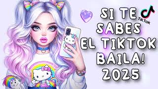 SI TE SABES EL TIKTOK BAILA  2024 [upl. by Ellehciram]